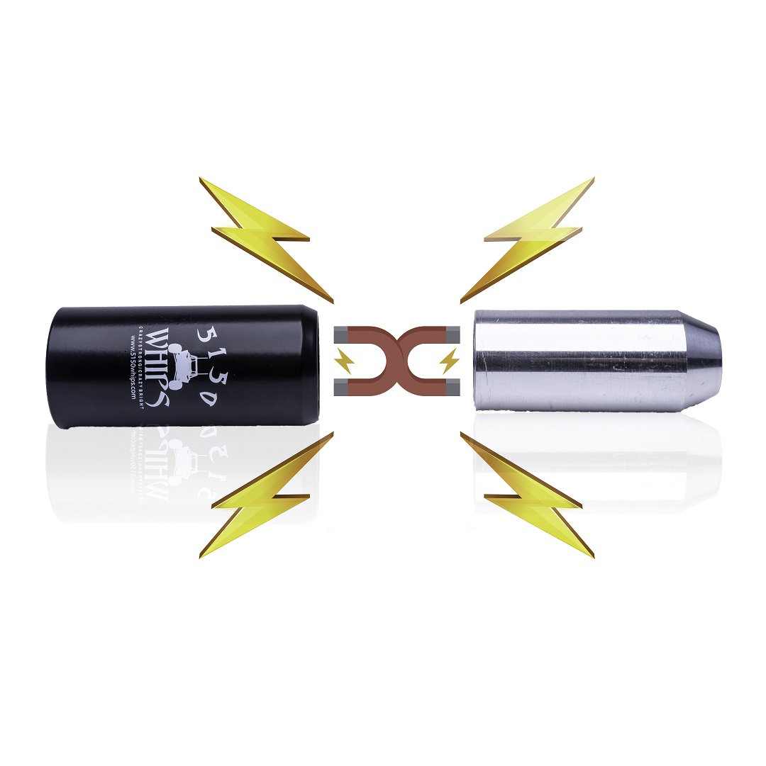 5150 Day Time Whips – Pro UTV Parts