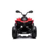 Officially Licensed Can-Am Renegade 24V Kids Ride-On ATV