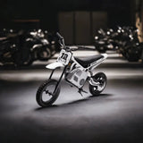 36V Freddo Electric Dirt Bike for Teens