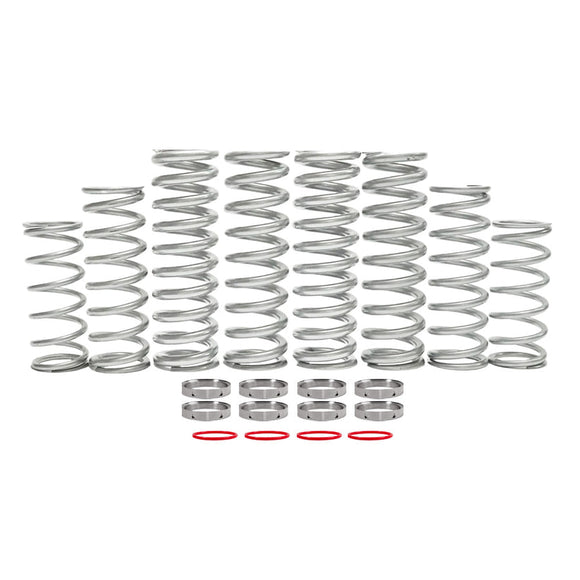 Shock Therapy Polaris RZR Turbo S Dual Rate Spring Kits
