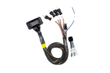 JBL® RCA Output Harness | UTVS-JBL-RC-RCA-OUT