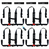 Four Harness Pack Auto Buckle with Harness Collars