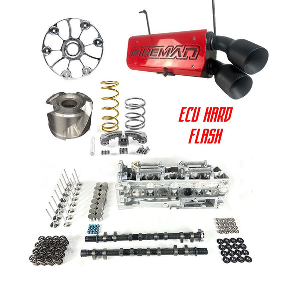 Bikeman Performance STG4 Kit / Pro R 330hp