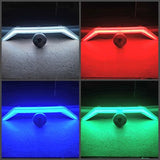 Infinite Offroad (UTV) - RGB+W Rock Light & Whip Bundle