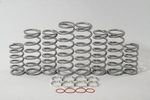 Polaris Turbo S (DRS) Dual Rate Spring Kit by Shock Therapy