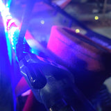 5150 Whips - INTERIOR WHIP